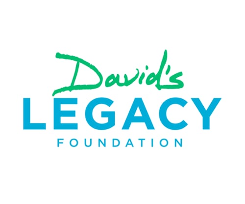 David's Legacy